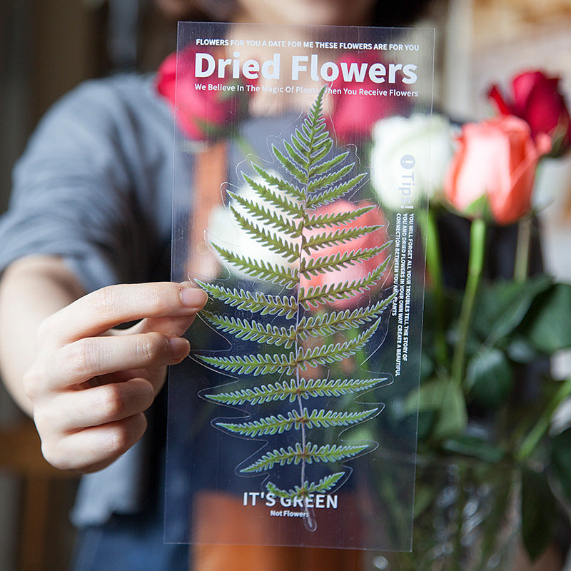 CouldNook Botanical PET Stickers - Dried Flower Look And Transparent Surrounds