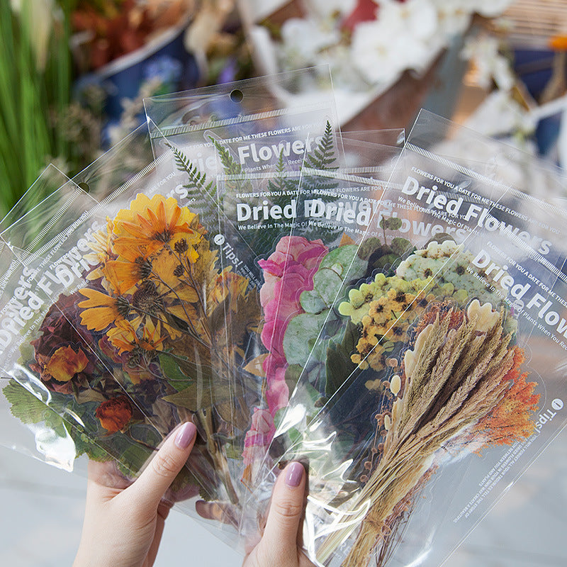 CouldNook Botanical PET Stickers - Dried Flower Look And Transparent Surrounds