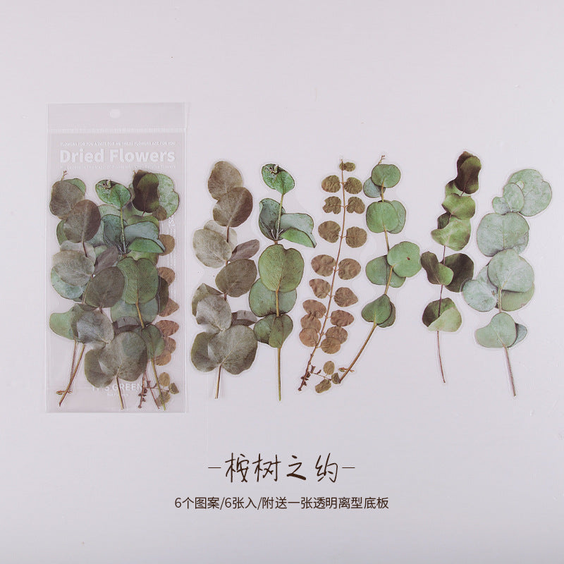 CouldNook Botanical PET Stickers - Dried Flower Look And Transparent Surrounds
