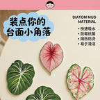CouldNook Tropical Leaf Coaster - Shaped Edges And Colorful Vein Patterns