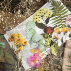 CouldNook Botanical PET Stickers - Dried Flower Look And Transparent Surrounds