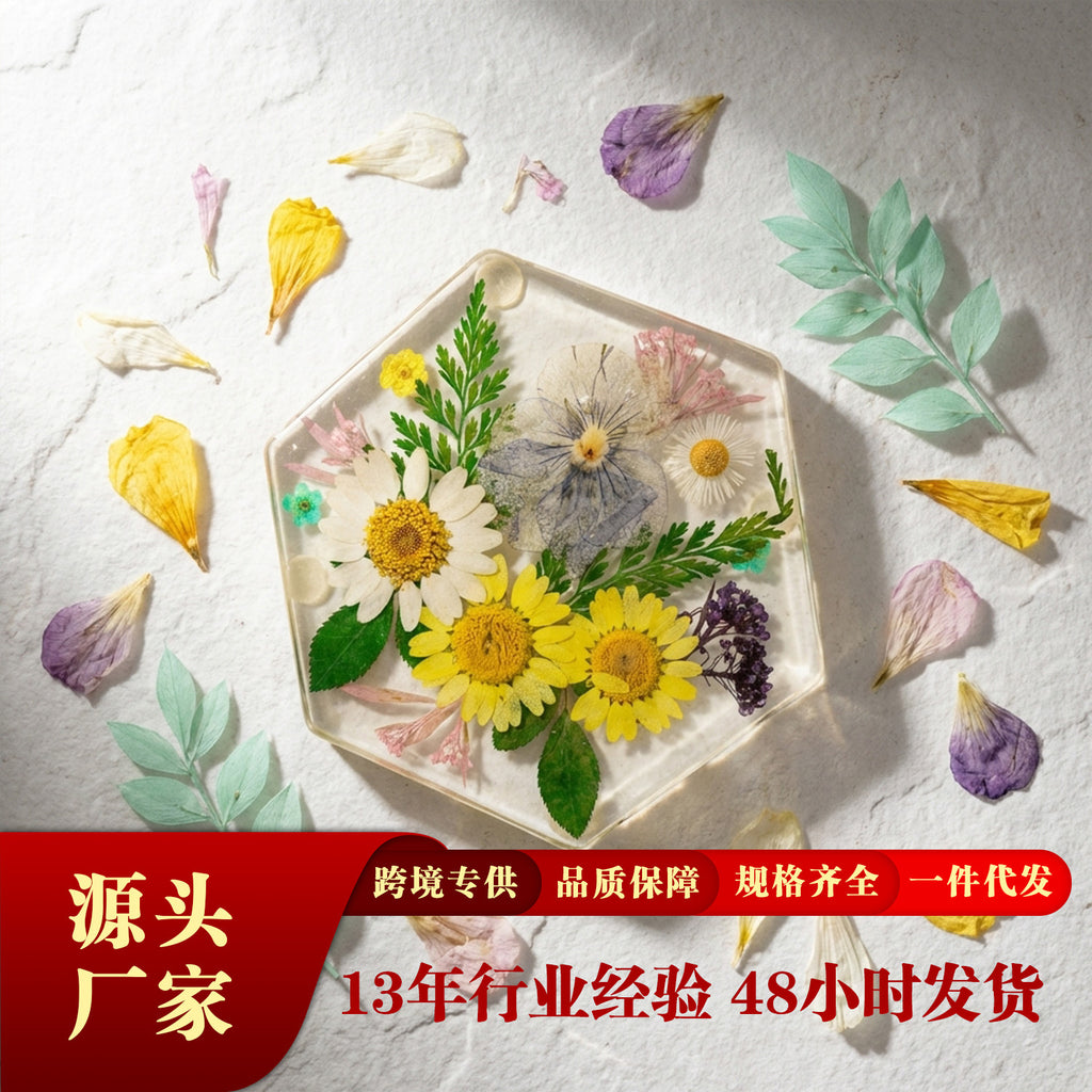 CouldNook Hexagonal Floral Coaster - Clear Body and Pressed Flower Arrangement