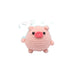 Little Pig