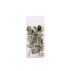 CouldNook Botanical PET Stickers - Dried Flower Look And Transparent Surrounds
