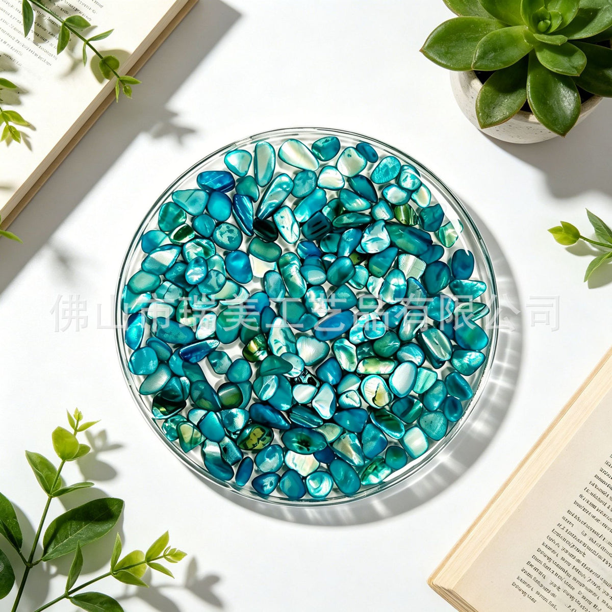 CouldNook Round Shell Coaster - Clear Resin and Iridescent Fragment Inlay
