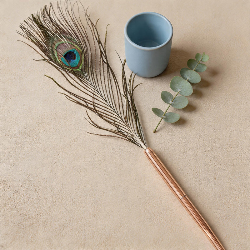 CouldNook Pen-Vintage Ostrich Feather Ballpoint Pen Elegant Gift Pen for Wedding Office Graduation