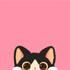 Pink / One Size