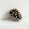 Natural Brown with White Snow Tips / One Size/60PCS