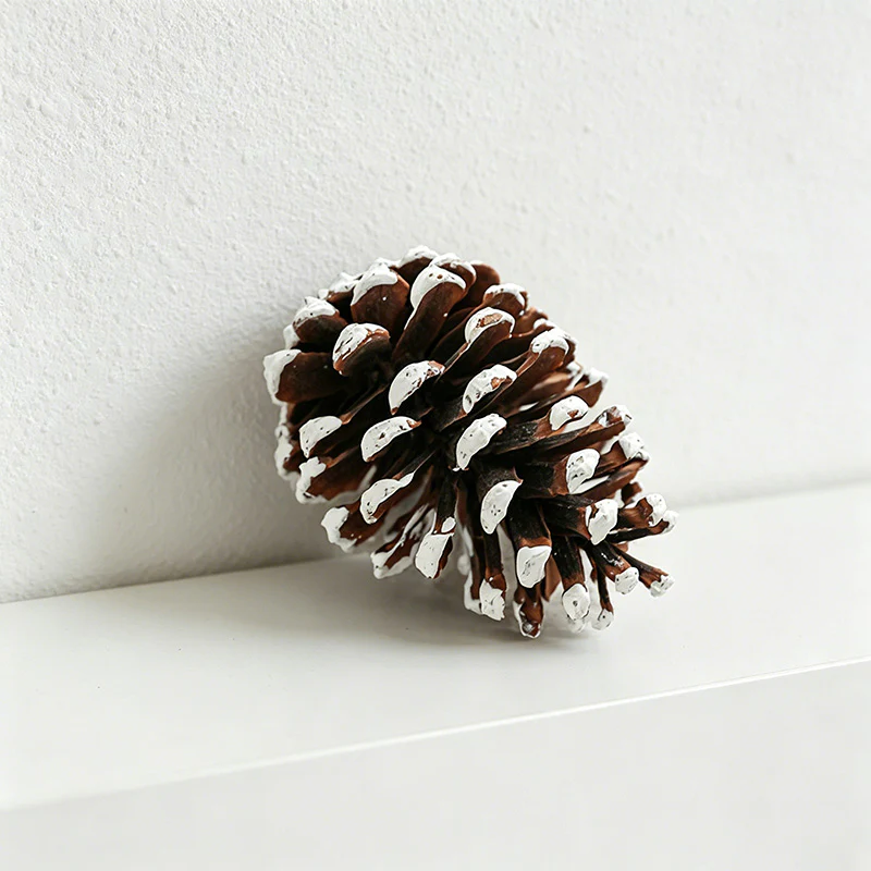 4.13 Inches Snow Tipped Pine Cone Wall Decor - Christmas Rustic Craft Ornaments（10PCS）