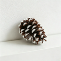 4.13 Inches Snow Tipped Pine Cone Wall Decor - Christmas Rustic Craft Ornaments（10PCS）