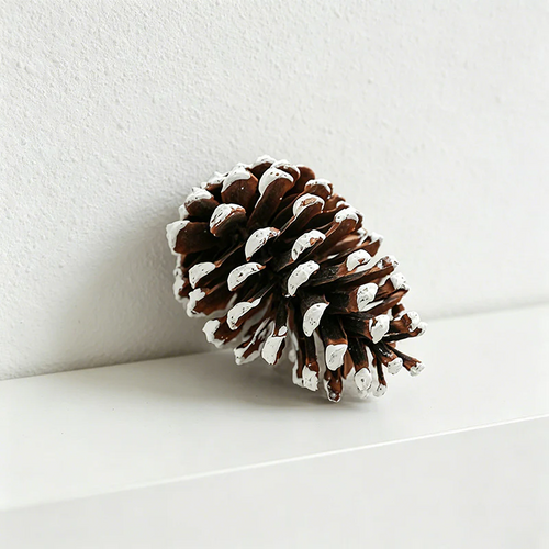 4.13 Inches Snow Tipped Pine Cone Wall Decor - Christmas Rustic Craft Ornaments（10PCS）