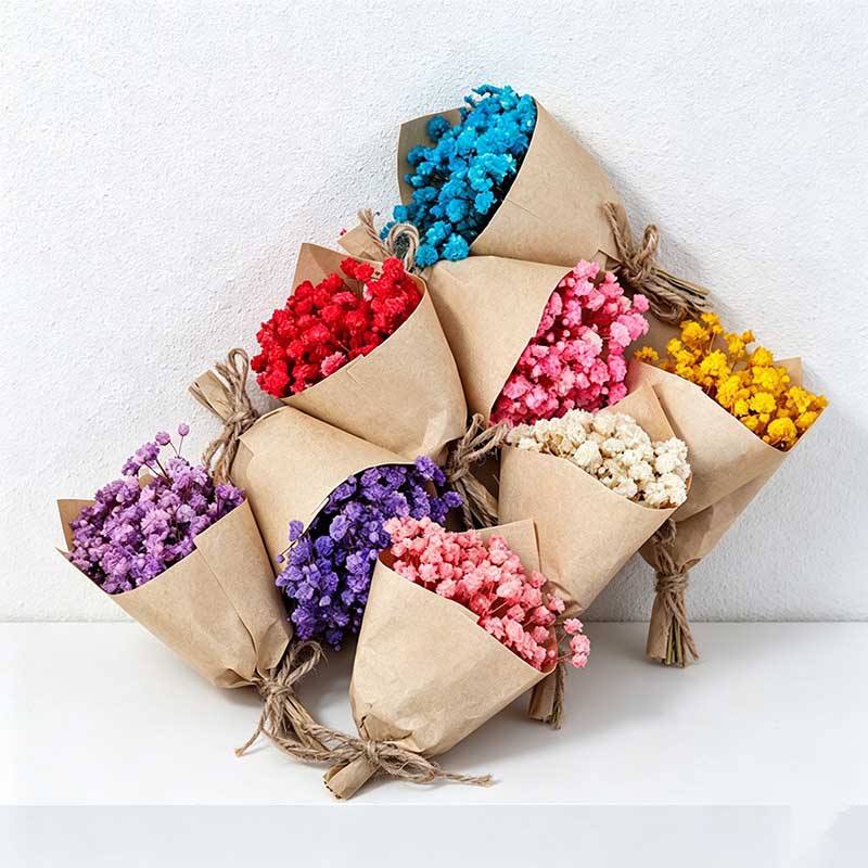 Mini Dried Baby's Breath Flower Bouquet - Preserved Gypsophila Eternal Flower