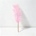 Light Pink/Gold