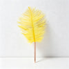 Yellow and Gold / One Size