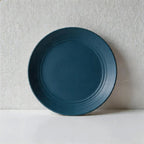 Multicolor Round Plastic Plates - Lightweight Unbreakable Dinner Plates for Daily Use（Set of 10）