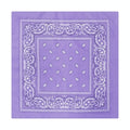 Paisley Print Culinary Bandanas - Polyester Square Headscarf(Set of 10)