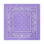 Paisley Print Culinary Bandanas - Polyester Square Headscarf(Set of 10)