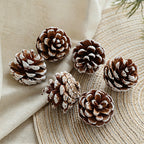 White Pine Cones Wall Decor - Christmas Natural Dried Plant Ornaments(6PCS)