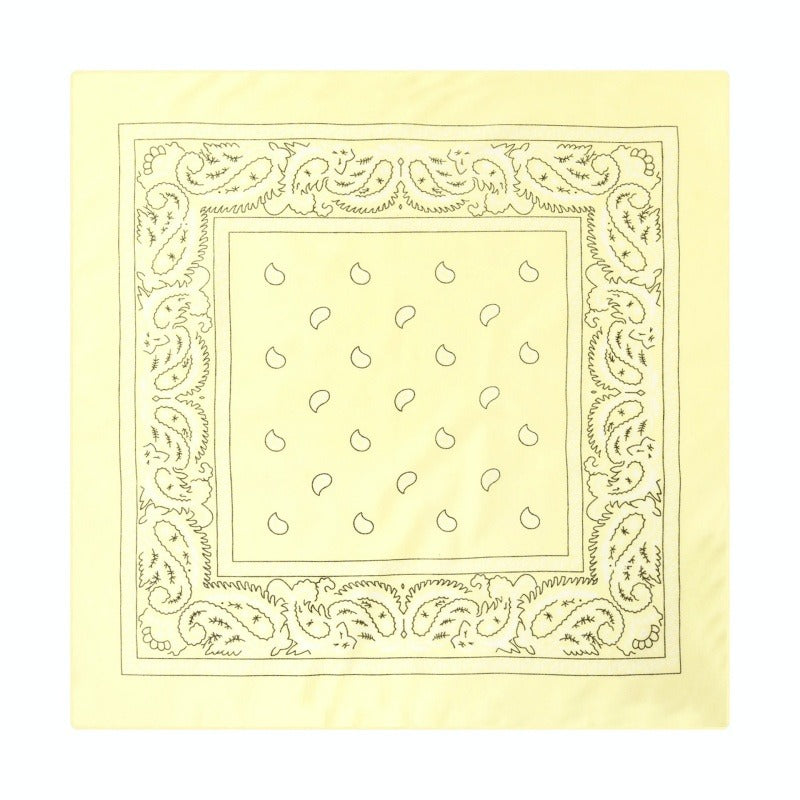 Paisley Print Culinary Bandanas - Polyester Square Headscarf(Set of 10)