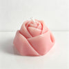 Pink / Geometric Rose