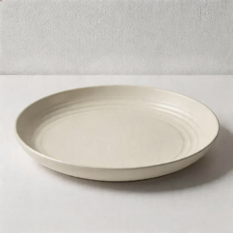 Multicolor Round Plastic Plates - Lightweight Unbreakable Dinner Plates for Daily Use（Set of 10）