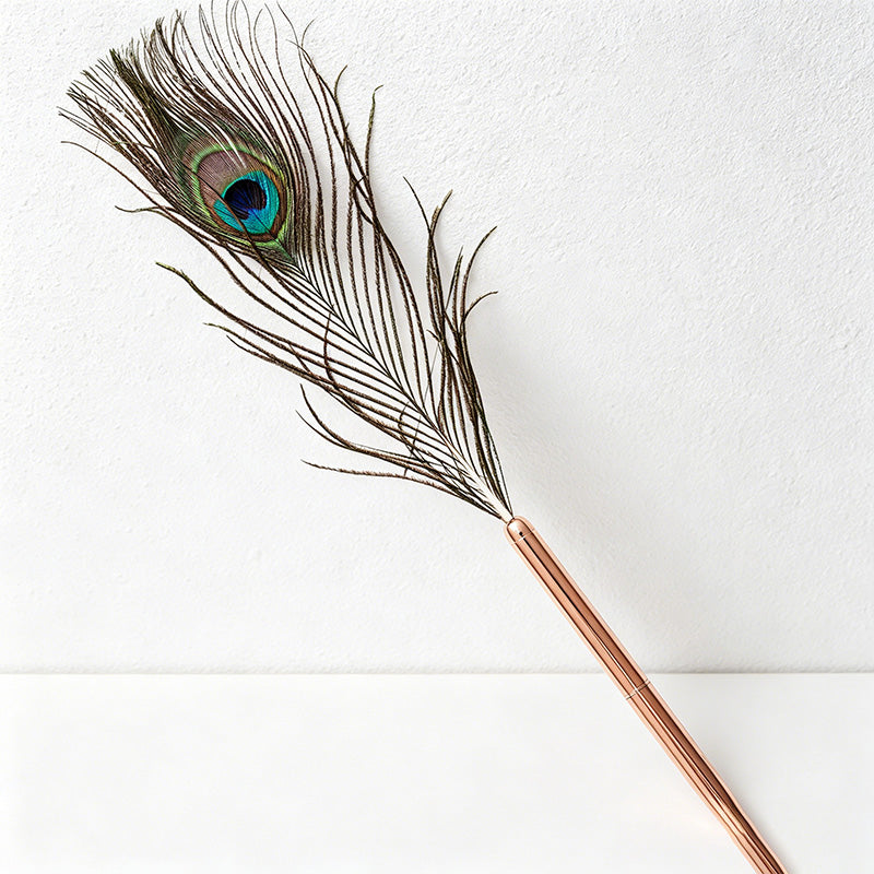 CouldNook Pen-Vintage Ostrich Feather Ballpoint Pen Elegant Gift Pen for Wedding Office Graduation