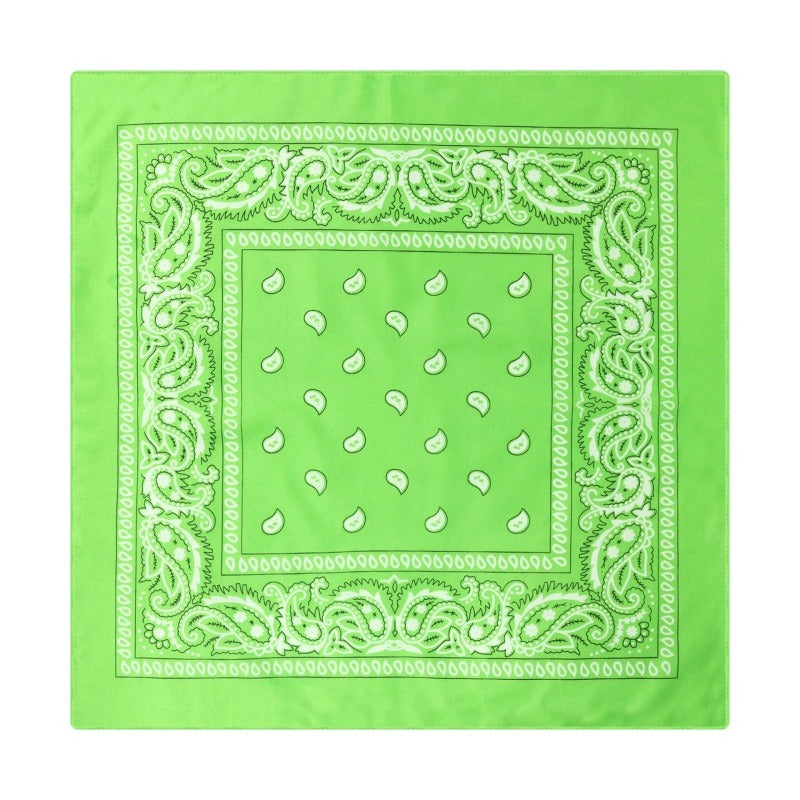 Paisley Print Culinary Bandanas - Polyester Square Headscarf(Set of 10)