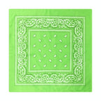 Paisley Print Culinary Bandanas - Polyester Square Headscarf(Set of 10)