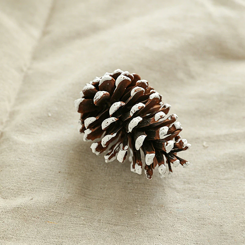 4.13 Inches Snow Tipped Pine Cone Wall Decor - Christmas Rustic Craft Ornaments（10PCS）