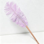 CouldNook Pen-Vintage Ostrich Feather Ballpoint Pen Elegant Gift Pen for Wedding Office Graduation